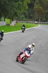 Motorcycle-action-photographs;Trackday-digital-images;brands;brands-hatch-photographs;event-digital-images;eventdigitalimages;motor-racing-london;no-limits-trackday;peter-wileman-photography;trackday;trackday-photos