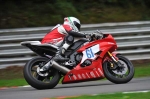 Motorcycle-action-photographs;Trackday-digital-images;brands;brands-hatch-photographs;event-digital-images;eventdigitalimages;motor-racing-london;no-limits-trackday;peter-wileman-photography;trackday;trackday-photos