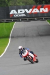 Motorcycle-action-photographs;Trackday-digital-images;brands;brands-hatch-photographs;event-digital-images;eventdigitalimages;motor-racing-london;no-limits-trackday;peter-wileman-photography;trackday;trackday-photos