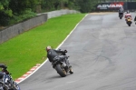 Motorcycle-action-photographs;Trackday-digital-images;brands;brands-hatch-photographs;event-digital-images;eventdigitalimages;motor-racing-london;no-limits-trackday;peter-wileman-photography;trackday;trackday-photos