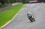 Motorcycle-action-photographs;Trackday-digital-images;brands;brands-hatch-photographs;event-digital-images;eventdigitalimages;motor-racing-london;no-limits-trackday;peter-wileman-photography;trackday;trackday-photos