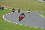 Motorcycle-action-photographs;Trackday-digital-images;brands;brands-hatch-photographs;event-digital-images;eventdigitalimages;motor-racing-london;no-limits-trackday;peter-wileman-photography;trackday;trackday-photos