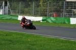 Mallory-park-Leicestershire;Mallory-park-photographs;Motorcycle-action-photographs;event-digital-images;eventdigitalimages;mallory-park;no-limits-trackday;peter-wileman-photography;trackday;trackday-digital-images;trackday-photos