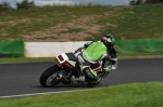 Mallory-park-Leicestershire;Mallory-park-photographs;Motorcycle-action-photographs;event-digital-images;eventdigitalimages;mallory-park;no-limits-trackday;peter-wileman-photography;trackday;trackday-digital-images;trackday-photos