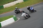 Mallory-park-Leicestershire;Mallory-park-photographs;Motorcycle-action-photographs;event-digital-images;eventdigitalimages;mallory-park;no-limits-trackday;peter-wileman-photography;trackday;trackday-digital-images;trackday-photos