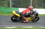 Mallory-park-Leicestershire;Mallory-park-photographs;Motorcycle-action-photographs;event-digital-images;eventdigitalimages;mallory-park;no-limits-trackday;peter-wileman-photography;trackday;trackday-digital-images;trackday-photos