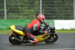 Mallory-park-Leicestershire;Mallory-park-photographs;Motorcycle-action-photographs;event-digital-images;eventdigitalimages;mallory-park;no-limits-trackday;peter-wileman-photography;trackday;trackday-digital-images;trackday-photos