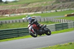 Mallory-park-Leicestershire;Mallory-park-photographs;Motorcycle-action-photographs;event-digital-images;eventdigitalimages;mallory-park;no-limits-trackday;peter-wileman-photography;trackday;trackday-digital-images;trackday-photos