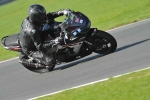 Motorcycle-action-photographs;Trackday-digital-images;event-digital-images;eventdigitalimages;no-limits-trackday;peter-wileman-photography;snetterton;snetterton-circuit-norfolk;snetterton-photographs;trackday;trackday-photos