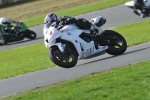 Motorcycle-action-photographs;Trackday-digital-images;event-digital-images;eventdigitalimages;no-limits-trackday;peter-wileman-photography;snetterton;snetterton-circuit-norfolk;snetterton-photographs;trackday;trackday-photos