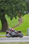 Motorcycle-action-photographs;Trackday-digital-images;event-digital-images;eventdigitalimages;no-limits-trackday;oulton-park;oulton-park-circuit-cheshire;oulton-park-photographs;peter-wileman-photography;trackday;trackday-photos