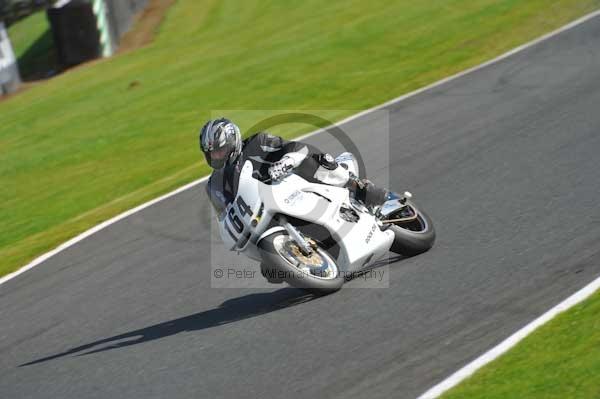 Motorcycle action photographs;Trackday digital images;event digital images;eventdigitalimages;no limits trackday;oulton park;oulton park circuit cheshire;oulton park photographs;peter wileman photography;trackday;trackday photos