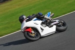 Motorcycle-action-photographs;Trackday-digital-images;event-digital-images;eventdigitalimages;no-limits-trackday;oulton-park;oulton-park-circuit-cheshire;oulton-park-photographs;peter-wileman-photography;trackday;trackday-photos