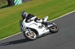 Motorcycle-action-photographs;Trackday-digital-images;event-digital-images;eventdigitalimages;no-limits-trackday;oulton-park;oulton-park-circuit-cheshire;oulton-park-photographs;peter-wileman-photography;trackday;trackday-photos