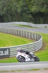 Motorcycle-action-photographs;Trackday-digital-images;event-digital-images;eventdigitalimages;no-limits-trackday;oulton-park;oulton-park-circuit-cheshire;oulton-park-photographs;peter-wileman-photography;trackday;trackday-photos