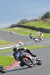 Motorcycle-action-photographs;Trackday-digital-images;event-digital-images;eventdigitalimages;no-limits-trackday;oulton-park;oulton-park-circuit-cheshire;oulton-park-photographs;peter-wileman-photography;trackday;trackday-photos