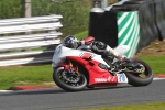 Motorcycle-action-photographs;Trackday-digital-images;event-digital-images;eventdigitalimages;no-limits-trackday;oulton-park;oulton-park-circuit-cheshire;oulton-park-photographs;peter-wileman-photography;trackday;trackday-photos