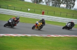 Motorcycle-action-photographs;Trackday-digital-images;event-digital-images;eventdigitalimages;no-limits-trackday;oulton-park;oulton-park-circuit-cheshire;oulton-park-photographs;peter-wileman-photography;trackday;trackday-photos