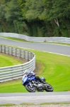 Motorcycle-action-photographs;Trackday-digital-images;event-digital-images;eventdigitalimages;no-limits-trackday;oulton-park;oulton-park-circuit-cheshire;oulton-park-photographs;peter-wileman-photography;trackday;trackday-photos