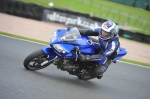 Motorcycle-action-photographs;Trackday-digital-images;event-digital-images;eventdigitalimages;no-limits-trackday;oulton-park;oulton-park-circuit-cheshire;oulton-park-photographs;peter-wileman-photography;trackday;trackday-photos