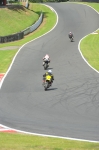 Motorcycle-action-photographs;Trackday-digital-images;event-digital-images;eventdigitalimages;no-limits-trackday;oulton-park;oulton-park-circuit-cheshire;oulton-park-photographs;peter-wileman-photography;trackday;trackday-photos