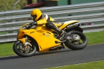 Motorcycle-action-photographs;Trackday-digital-images;event-digital-images;eventdigitalimages;no-limits-trackday;oulton-park;oulton-park-circuit-cheshire;oulton-park-photographs;peter-wileman-photography;trackday;trackday-photos