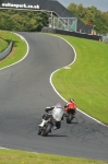 Motorcycle-action-photographs;Trackday-digital-images;event-digital-images;eventdigitalimages;no-limits-trackday;oulton-park;oulton-park-circuit-cheshire;oulton-park-photographs;peter-wileman-photography;trackday;trackday-photos