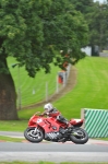 Motorcycle-action-photographs;Trackday-digital-images;event-digital-images;eventdigitalimages;no-limits-trackday;oulton-park;oulton-park-circuit-cheshire;oulton-park-photographs;peter-wileman-photography;trackday;trackday-photos