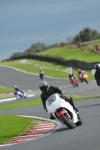 Motorcycle-action-photographs;Trackday-digital-images;event-digital-images;eventdigitalimages;no-limits-trackday;oulton-park;oulton-park-circuit-cheshire;oulton-park-photographs;peter-wileman-photography;trackday;trackday-photos