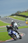 Motorcycle-action-photographs;Trackday-digital-images;event-digital-images;eventdigitalimages;no-limits-trackday;oulton-park;oulton-park-circuit-cheshire;oulton-park-photographs;peter-wileman-photography;trackday;trackday-photos