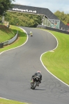 Motorcycle-action-photographs;Trackday-digital-images;event-digital-images;eventdigitalimages;no-limits-trackday;oulton-park;oulton-park-circuit-cheshire;oulton-park-photographs;peter-wileman-photography;trackday;trackday-photos