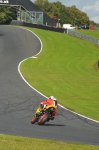 Motorcycle-action-photographs;Trackday-digital-images;event-digital-images;eventdigitalimages;no-limits-trackday;oulton-park;oulton-park-circuit-cheshire;oulton-park-photographs;peter-wileman-photography;trackday;trackday-photos