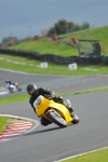 Motorcycle-action-photographs;Trackday-digital-images;event-digital-images;eventdigitalimages;no-limits-trackday;oulton-park;oulton-park-circuit-cheshire;oulton-park-photographs;peter-wileman-photography;trackday;trackday-photos