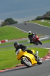 Motorcycle-action-photographs;Trackday-digital-images;event-digital-images;eventdigitalimages;no-limits-trackday;oulton-park;oulton-park-circuit-cheshire;oulton-park-photographs;peter-wileman-photography;trackday;trackday-photos