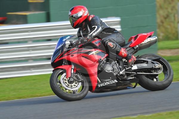 Motorcycle action photographs;Trackday digital images;event digital images;eventdigitalimages;no limits trackday;oulton park;oulton park circuit cheshire;oulton park photographs;peter wileman photography;trackday;trackday photos