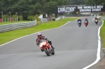 Motorcycle-action-photographs;Trackday-digital-images;event-digital-images;eventdigitalimages;no-limits-trackday;oulton-park;oulton-park-circuit-cheshire;oulton-park-photographs;peter-wileman-photography;trackday;trackday-photos