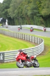 Motorcycle-action-photographs;Trackday-digital-images;event-digital-images;eventdigitalimages;no-limits-trackday;oulton-park;oulton-park-circuit-cheshire;oulton-park-photographs;peter-wileman-photography;trackday;trackday-photos