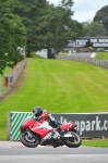 Motorcycle-action-photographs;Trackday-digital-images;event-digital-images;eventdigitalimages;no-limits-trackday;oulton-park;oulton-park-circuit-cheshire;oulton-park-photographs;peter-wileman-photography;trackday;trackday-photos