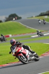 Motorcycle-action-photographs;Trackday-digital-images;event-digital-images;eventdigitalimages;no-limits-trackday;oulton-park;oulton-park-circuit-cheshire;oulton-park-photographs;peter-wileman-photography;trackday;trackday-photos