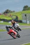 Motorcycle-action-photographs;Trackday-digital-images;event-digital-images;eventdigitalimages;no-limits-trackday;oulton-park;oulton-park-circuit-cheshire;oulton-park-photographs;peter-wileman-photography;trackday;trackday-photos