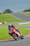 Motorcycle-action-photographs;Trackday-digital-images;event-digital-images;eventdigitalimages;no-limits-trackday;oulton-park;oulton-park-circuit-cheshire;oulton-park-photographs;peter-wileman-photography;trackday;trackday-photos