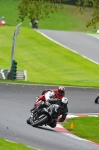 Motorcycle-action-photographs;Trackday-digital-images;cadwell;cadwell-park-photographs;event-digital-images;eventdigitalimages;motor-racing-louth-lincolnshire;no-limits-trackday;peter-wileman-photography;trackday;trackday-photos