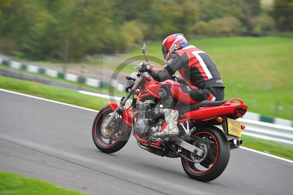 Motorcycle action photographs;Trackday digital images;cadwell;cadwell park photographs;event digital images;eventdigitalimages;motor racing louth lincolnshire;no limits trackday;peter wileman photography;trackday;trackday photos