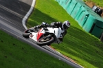 Motorcycle-action-photographs;Trackday-digital-images;cadwell;cadwell-park-photographs;event-digital-images;eventdigitalimages;motor-racing-louth-lincolnshire;no-limits-trackday;peter-wileman-photography;trackday;trackday-photos