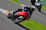 Motorcycle-action-photographs;Trackday-digital-images;cadwell;cadwell-park-photographs;event-digital-images;eventdigitalimages;motor-racing-louth-lincolnshire;no-limits-trackday;peter-wileman-photography;trackday;trackday-photos