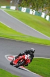 Motorcycle-action-photographs;Trackday-digital-images;cadwell;cadwell-park-photographs;event-digital-images;eventdigitalimages;motor-racing-louth-lincolnshire;no-limits-trackday;peter-wileman-photography;trackday;trackday-photos