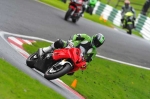 Motorcycle-action-photographs;Trackday-digital-images;cadwell;cadwell-park-photographs;event-digital-images;eventdigitalimages;motor-racing-louth-lincolnshire;no-limits-trackday;peter-wileman-photography;trackday;trackday-photos