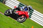 Motorcycle-action-photographs;Trackday-digital-images;cadwell;cadwell-park-photographs;event-digital-images;eventdigitalimages;motor-racing-louth-lincolnshire;no-limits-trackday;peter-wileman-photography;trackday;trackday-photos