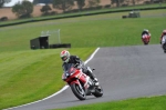 Motorcycle-action-photographs;Trackday-digital-images;cadwell;cadwell-park-photographs;event-digital-images;eventdigitalimages;motor-racing-louth-lincolnshire;no-limits-trackday;peter-wileman-photography;trackday;trackday-photos