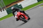 Motorcycle-action-photographs;Trackday-digital-images;cadwell;cadwell-park-photographs;event-digital-images;eventdigitalimages;motor-racing-louth-lincolnshire;no-limits-trackday;peter-wileman-photography;trackday;trackday-photos